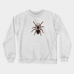 Spider Crewneck Sweatshirt